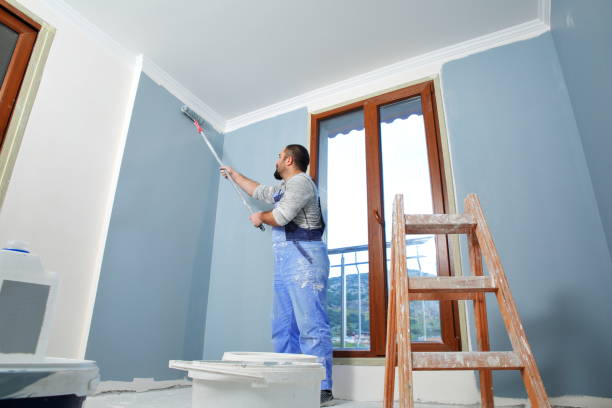 Best Drywall Repair  in Durant, MS