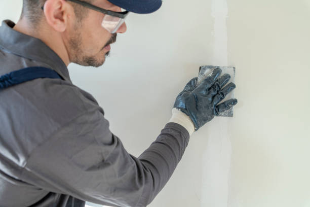 Best Drywall Crack Repair  in Durant, MS